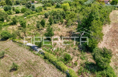 opereta_carousel_photo_3