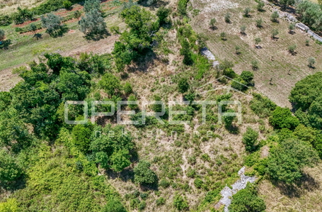 opereta_carousel_photo_4