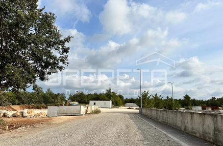 opereta_carousel_photo_6