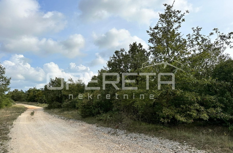 opereta_carousel_photo_8