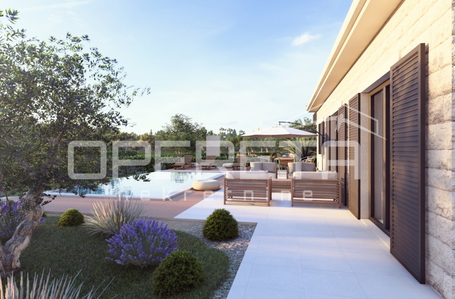 opereta_carousel_photo_9