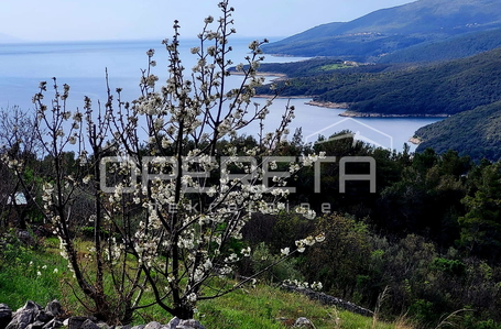 opereta_carousel_photo_5