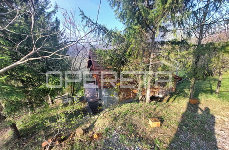 opereta_carousel_photo_8