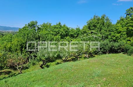 opereta_carousel_photo_7