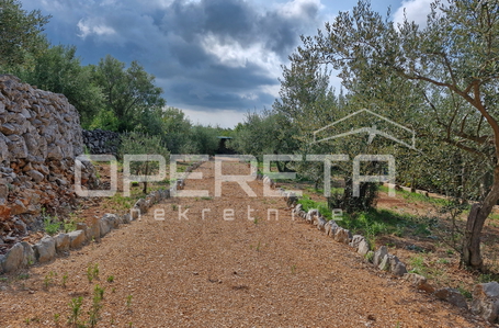 opereta_carousel_photo_4