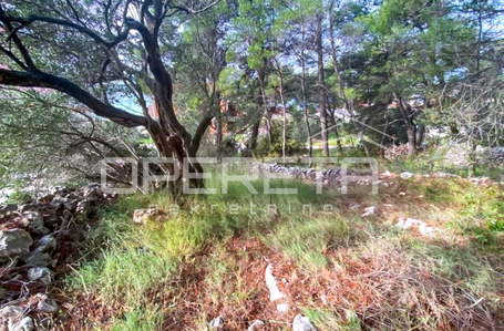 opereta_carousel_photo_2