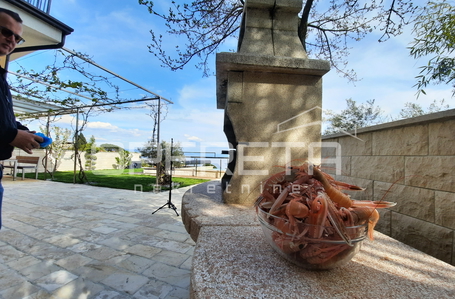 opereta_carousel_photo_9