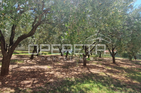 opereta_carousel_photo_3