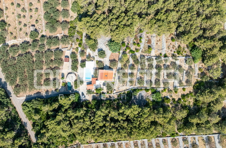 opereta_carousel_photo_5