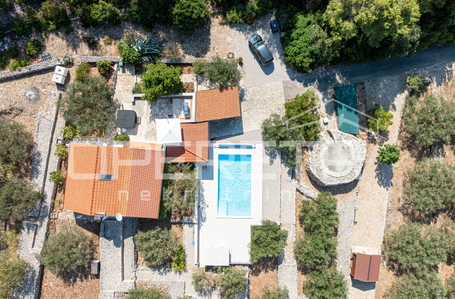 opereta_carousel_photo_2