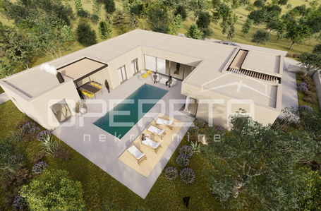 opereta_carousel_photo_2