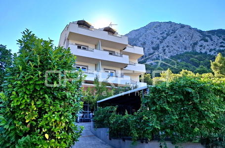 opereta_carousel_photo_8