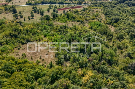 opereta_carousel_photo_3