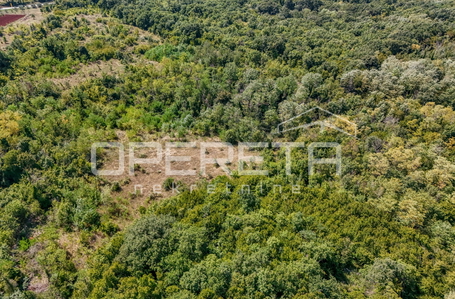 opereta_carousel_photo_5