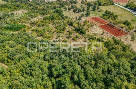 opereta_carousel_photo_7