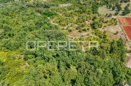 opereta_carousel_photo_8