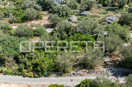 opereta_carousel_photo_8