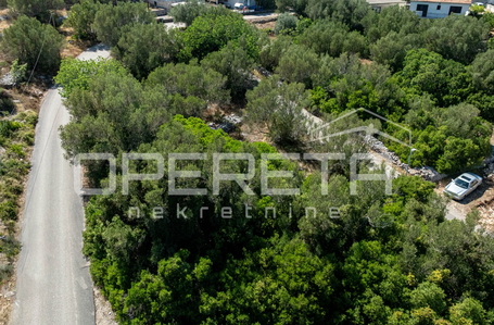 opereta_carousel_photo_2