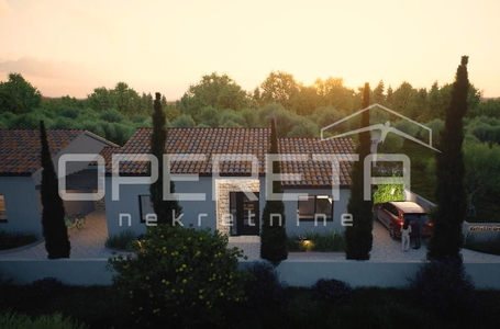 opereta_carousel_photo_7