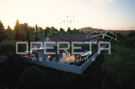 opereta_carousel_photo_8