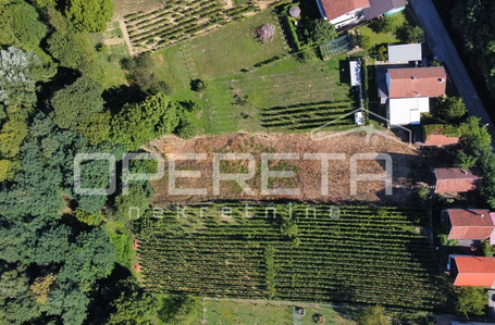 opereta_carousel_photo_2