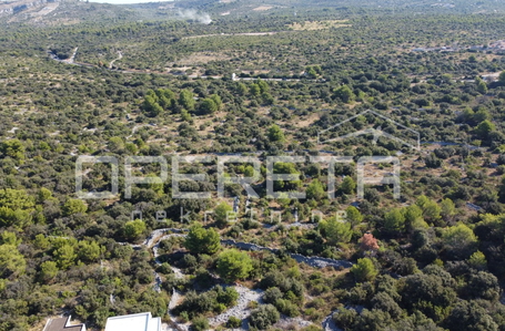 opereta_carousel_photo_6