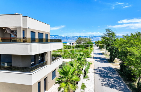 opereta_carousel_photo_3