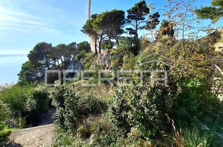 opereta_carousel_photo_7