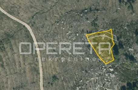 opereta_carousel_photo_2