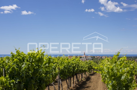 opereta_carousel_photo_2