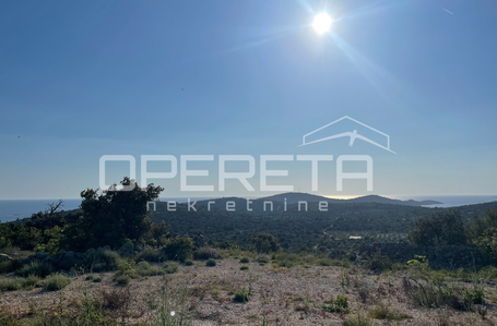 opereta_carousel_photo_4