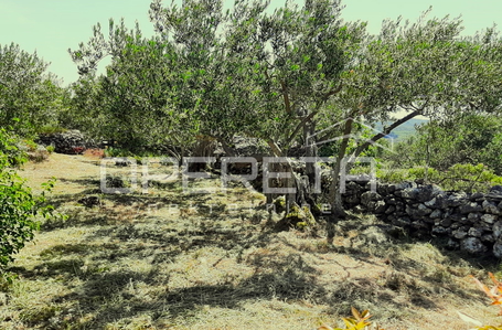 opereta_carousel_photo_7