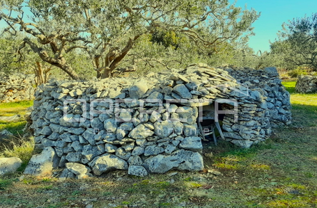 opereta_carousel_photo_8