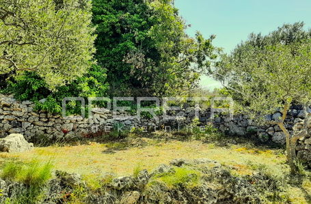 opereta_carousel_photo_4