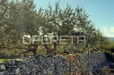 opereta_carousel_photo_5