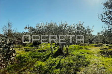 opereta_carousel_photo_6