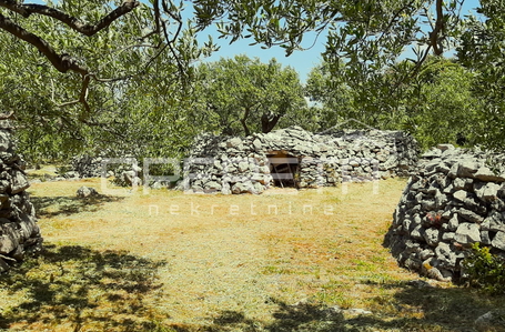 opereta_carousel_photo_3