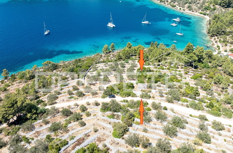 opereta_carousel_photo_4