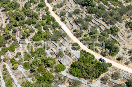 opereta_carousel_photo_5