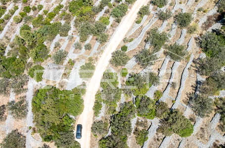 opereta_carousel_photo_7