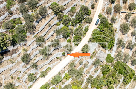 opereta_carousel_photo_3