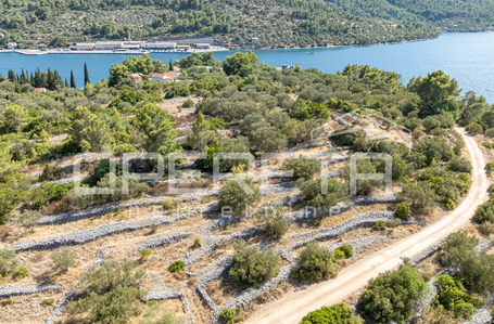 opereta_carousel_photo_9