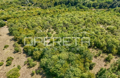 opereta_carousel_photo_2