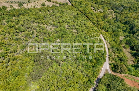 opereta_carousel_photo_3