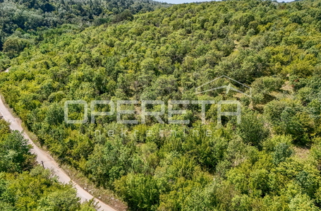 opereta_carousel_photo_4