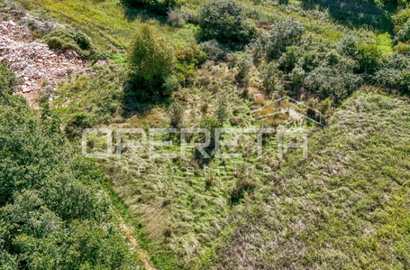 opereta_carousel_photo_6