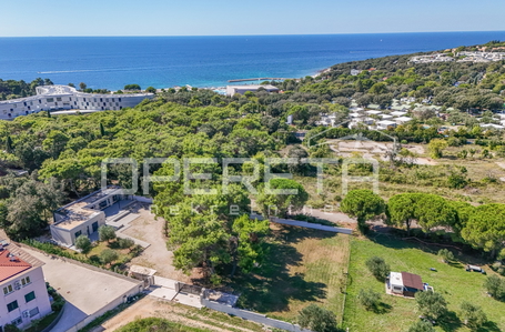 opereta_carousel_photo_5