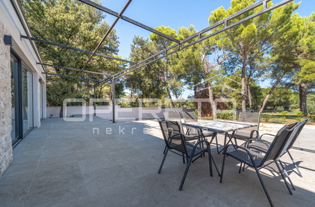 opereta_carousel_photo_2