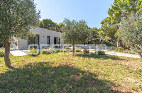 opereta_carousel_photo_3