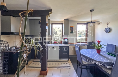 opereta_carousel_photo_9